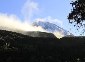 tanzania/moshi/landmark/jaynevy-tours-co-l-t-d-best-tanzania-tours-safari-company-in-serengeti-kilimanjaro-climbing-operators