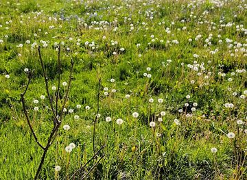 washington/puget-sound/landmark/shoreline-historical-museum