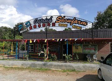 malaysia/negeri-sembilan/landmark/p-d-ostrich-show-farm