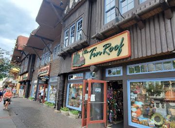 tennessee/gatlinburg/landmark/tin-roof