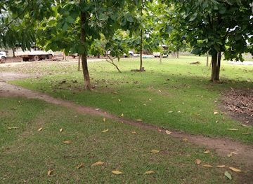 cote-d-ivoire/tai-national-park/landmark/branch-tai-national-park