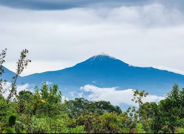 rwanda/volcanoes-national-park/landmark/visit-and-tour-rwanda-rwanda-gorilla-trekking-rwanda-cultural-tours-wildlife-safaris