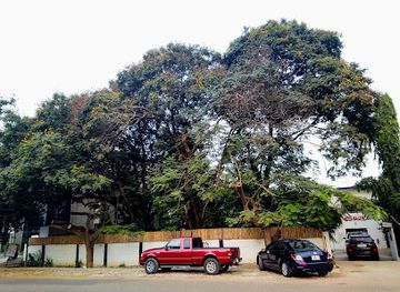 ghana/accra/labone/landmark/zen-garden