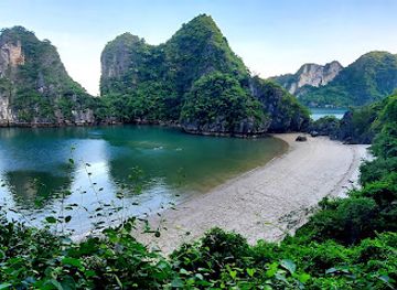 vietnam/ha-long/landmark/bhaya-cruise-center