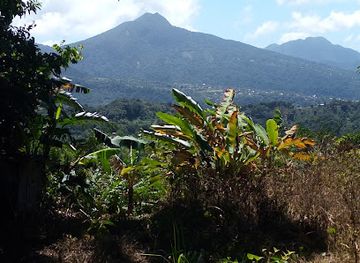 dominica/soufriere-bay/landmark/middleham-falls-dominica