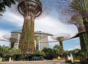 singapore/northeast-region/landmark/supertree-grove