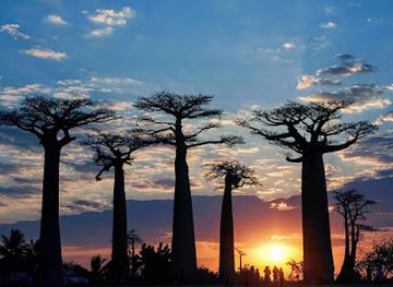 madagascar/sofia/landmark/masoala-national-park