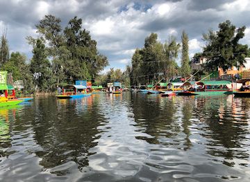 mexico/mexico-city/xochimilco/landmark/magical-xochimilco-trajineras