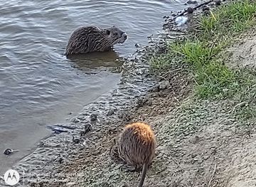 mississippi/tupelo/landmark/town-creek-encampment
