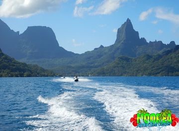 french-polynesia/moorea/landmark/moorea-activities-center-opunohu