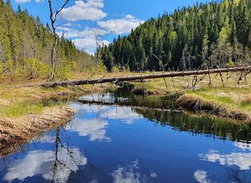 finland/koli-national-park/landmark/kolvananuuro-nature-trail