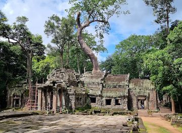 cambodia/takeo/landmark/ta-prohm-temple