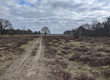 netherlands/north-brabant/landmark/de-maashorst