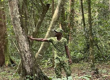 gabon/estuary-province/landmark/arboretum-raponda-walker