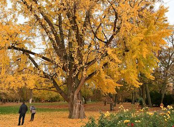 slovakia/bratislava/petrzalka/landmark/blizenci