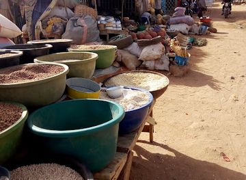 niger/niamey/plateau/landmark/habou-tegui-yantala