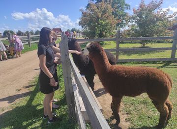 latvia/latgale/landmark/ranco-ozolmajas