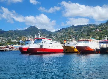 saint-vincent-and-the-grenadines/kingstown/landmark/st-vincent-and-the-grenadines-conservation-fund