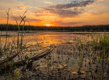 malawi/southern-region/landmark/kuti-wildlife-reserve