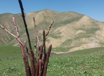 azerbaijan/greater-caucasus/landmark/alcapan-licapan-dagi