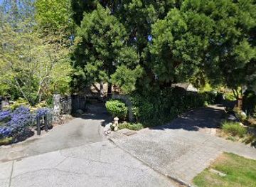 washington/seattle/landmark/giant-sequoia