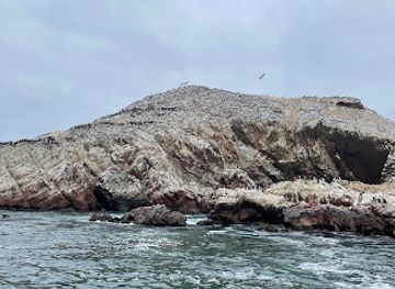 peru/paracas-national-reserve/landmark/el-chaco-paracas