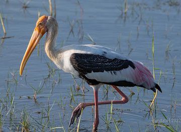 sri-lanka/southern-province/landmark/bundala-national-park