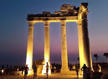 Attraction