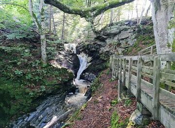 united-kingdom/aberfeldy/attraction/falls-of-acharn