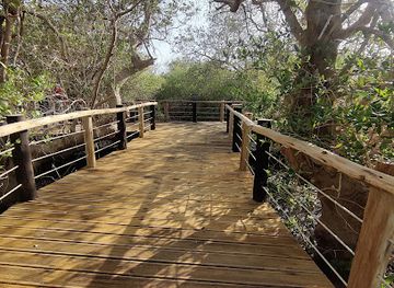 united-arab-emirates/northern-emirates/landmark/khor-kalba-mangrove-centre
