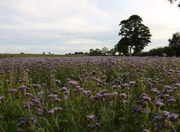 united-kingdom/east-lothian/landmark/east-peaston