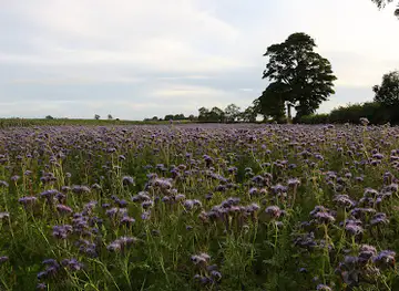 East Peaston