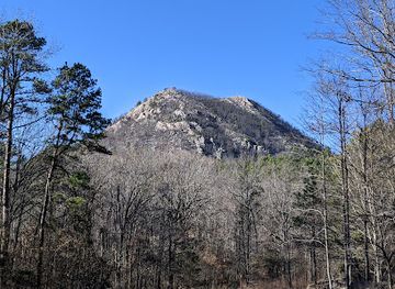 arkansas/pinnacle-mountain-state-park/landmark/arkansas-arboretum