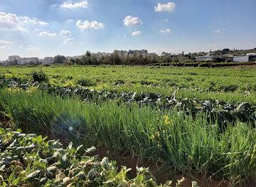 israel/kfar-saba/landmark/m-shoch-bagezer