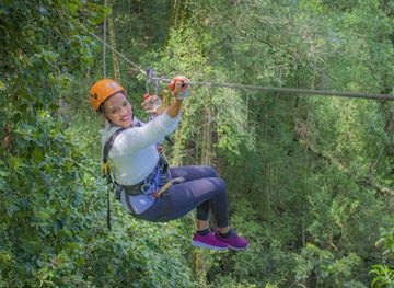 south-africa/route-62/landmark/tsitsikamma-canopy-tours
