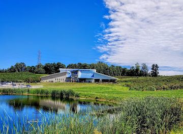 ohio/mansfield/landmark/the-blueberry-patch