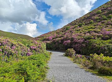 ireland/county-tipperary/landmark/the-vee-pass