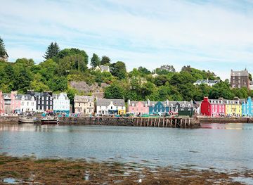 united-kingdom/argyllshire/attraction/wild-about-argyll-2