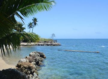 samoa/tuamasaga/landmark/palolo-deep-marine-reserve