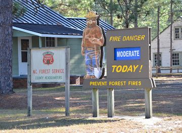 north-carolina/sandhills/landmark/bladen-lakes-state-forest