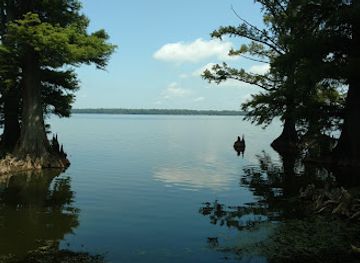 tennessee/reelfoot-lake-area/landmark/reelfoot-lake-tourism-develop