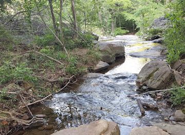 alabama/alabama-coastal-birding-trail/landmark/moss-rock-preserve