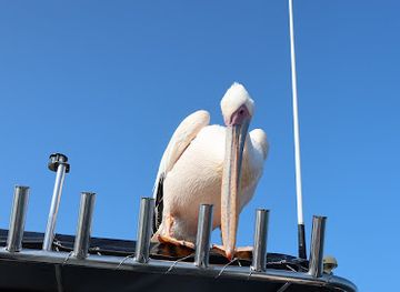 namibia/walvis-bay/landmark/levo-tours-namibia