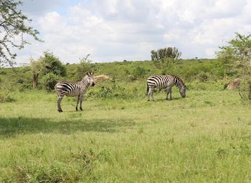 uganda/central-region/landmark/lake-mburo-national-park