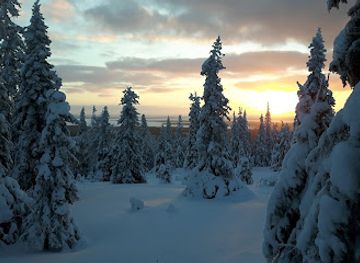 finland/pallas-yllastunturi-national-park/landmark/riisitunturi-national-park