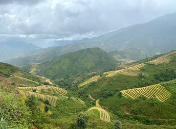 vietnam/northwest/landmark/ta-xua-nature-reserve