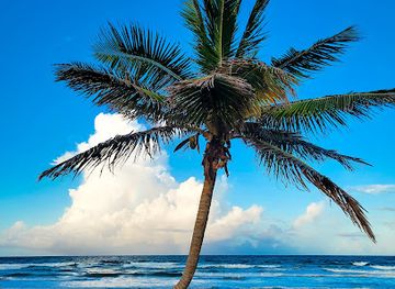 trinidad-and-tobago/mayaro/landmark/mayaro-beach