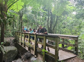puerto-rico/yunque-national-forest/landmark/kioskos-de-luquillo