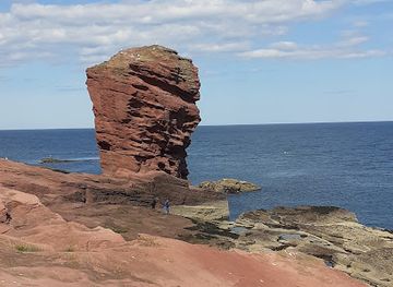 united-kingdom/angus/landmark/seaton-cliffs-nature-reserve