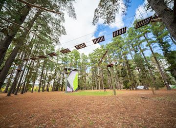 australia/fleurieu-peninsula/landmark/southern-adventure-hub